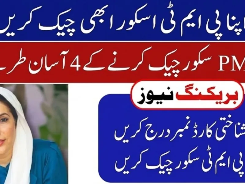 How to Check Your 8171 PMT Score Online by CNIC — Complete Guide 2026